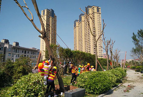 莫蘭蒂抗震救災